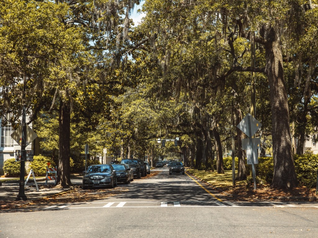 Georgia Car Transport